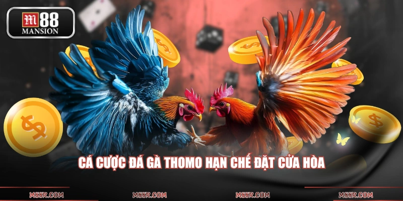 Cá cược đá gà Thomo hạn chế đặt cửa hòa