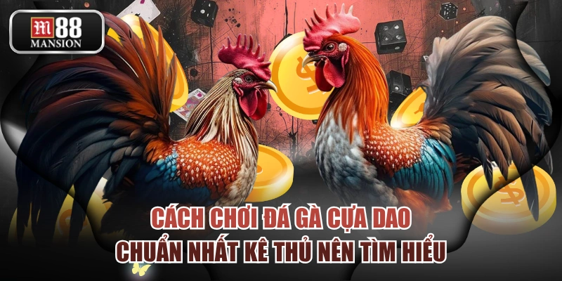 Cách Chơi Đá Gà Cựa Dao Chuẩn Nhất Kê Thủ Nên Tìm Hiểu