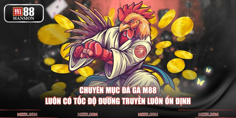 Chuyên mục đá gà M88 luôn có tốc độ đường truyền luôn ổn định