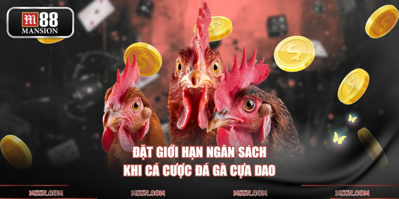 Đặt giới hạn ngân sách khi cá cược đá gà cựa dao