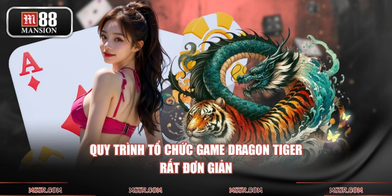 Quy trình tổ chức game Dragon Tiger rất đơn giản