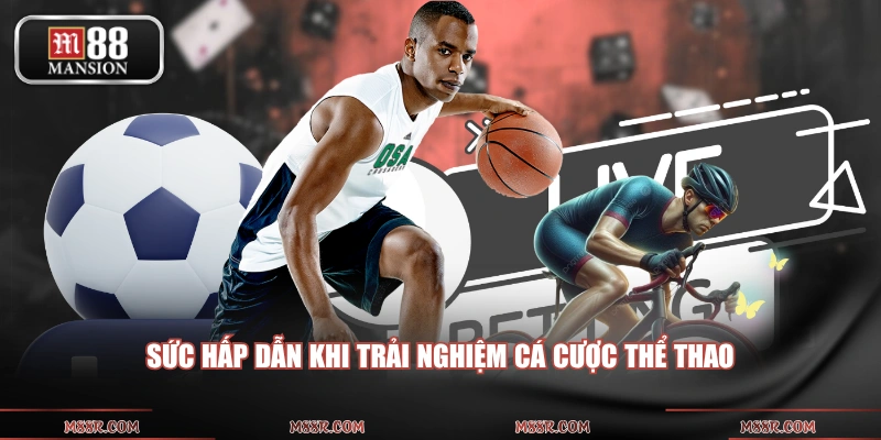 Sức hấp dẫn khi trải nghiệm cá cược thể thao