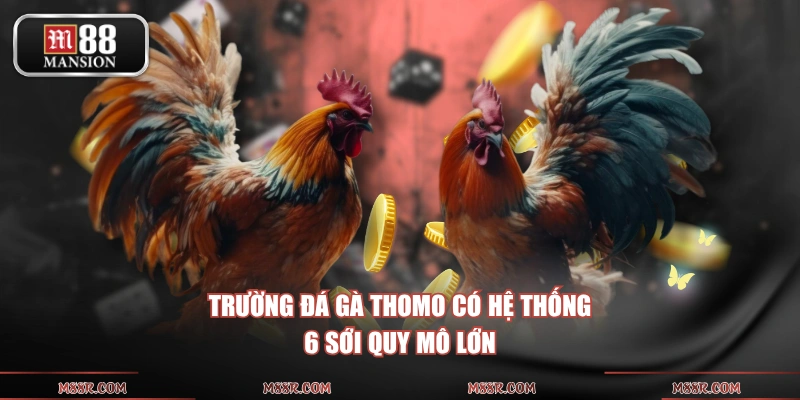 Trường đá gà Thomo có hệ thống 6 sới quy mô lớn