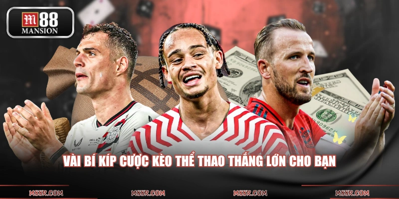 Vài bí kíp cược kèo thể thao thắng lớn cho bạn