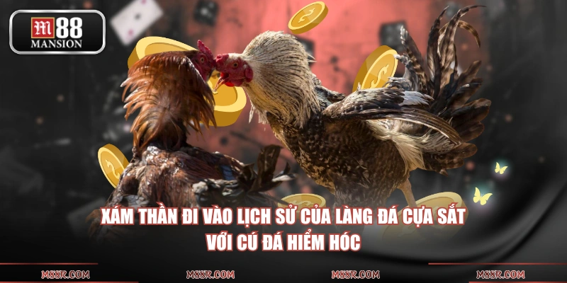 Xám Thần đi vào lịch sử của làng đá cựa sắt với cú đá hiểm hóc